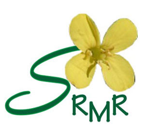 SRMR